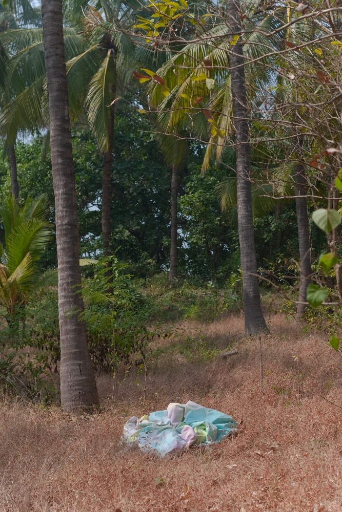 Estna traveling painting in Janjira