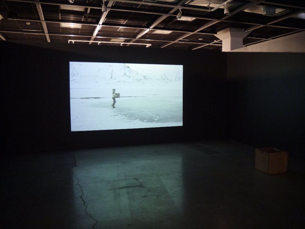 Sarah Gerats, Svalbard from series The Visitor,   video installation, 2014