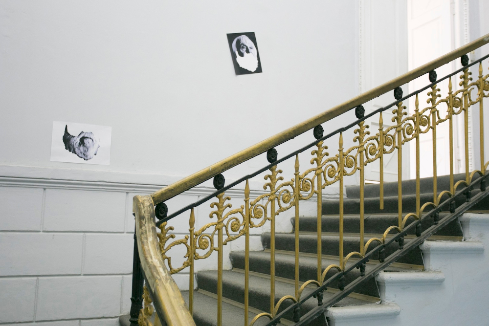 1_David Bernstein_from collection of conceptual artists beards