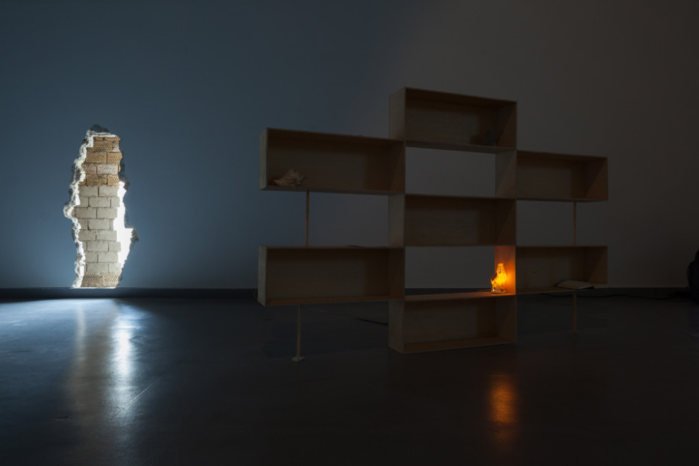 Marta Ivanova, Shelf, 2014, the tree, photography, objects