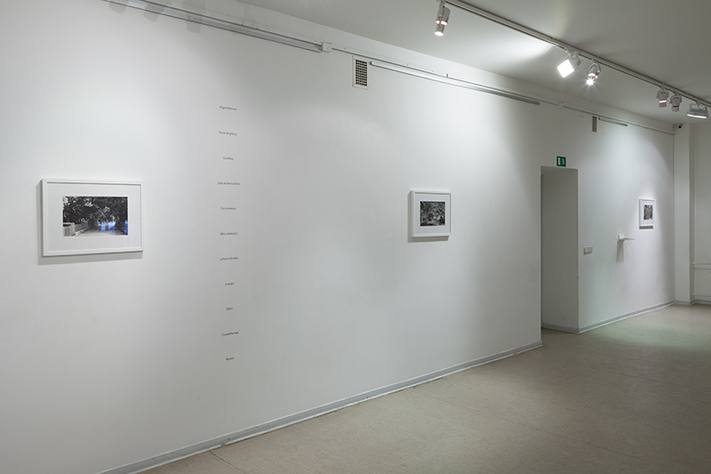 Laura Stasiulytė - In “Letters”, 2013-14. 4 b/w photographs, 1 colour photograph, collection of postcards, video, text