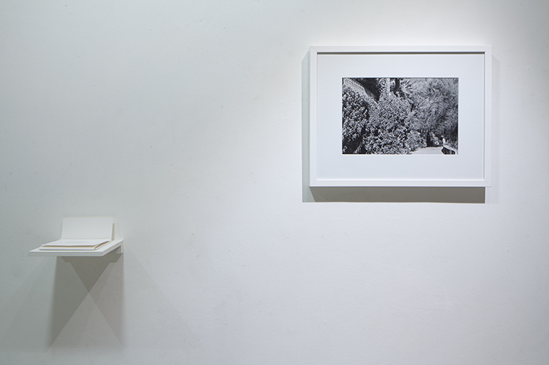 Laura Stasiulytė - In “Letters”, 2013-14. 4 b/w photographs, 1 colour photograph, collection of postcards, video, text