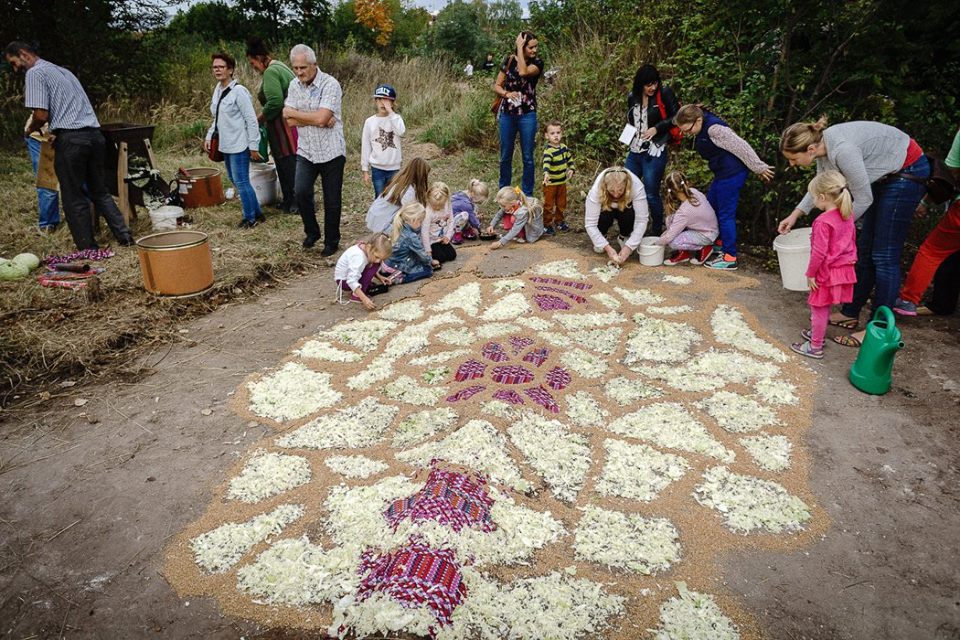 friendly zone cabbage field